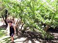 28 - Jardin des eaux 036